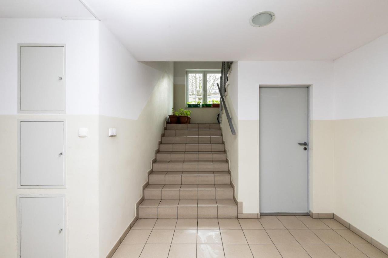 Apartment 44 Puck